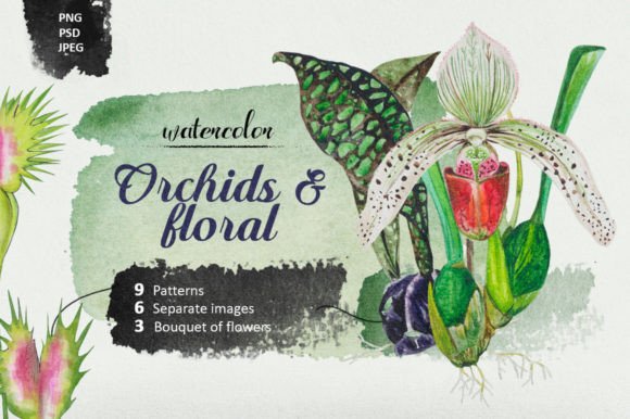 Orchids & Floral: A Designer's Guide to This Premium Font