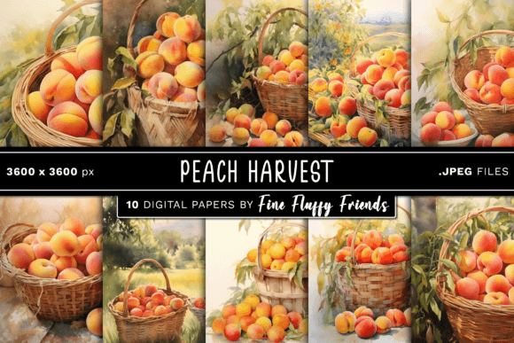 Unwrapping the Warmth of Peach Harvest Digital Paper